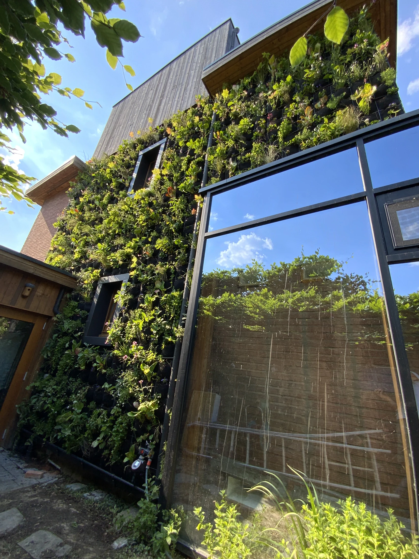 Façade végétalisée sur une maison contemporaine