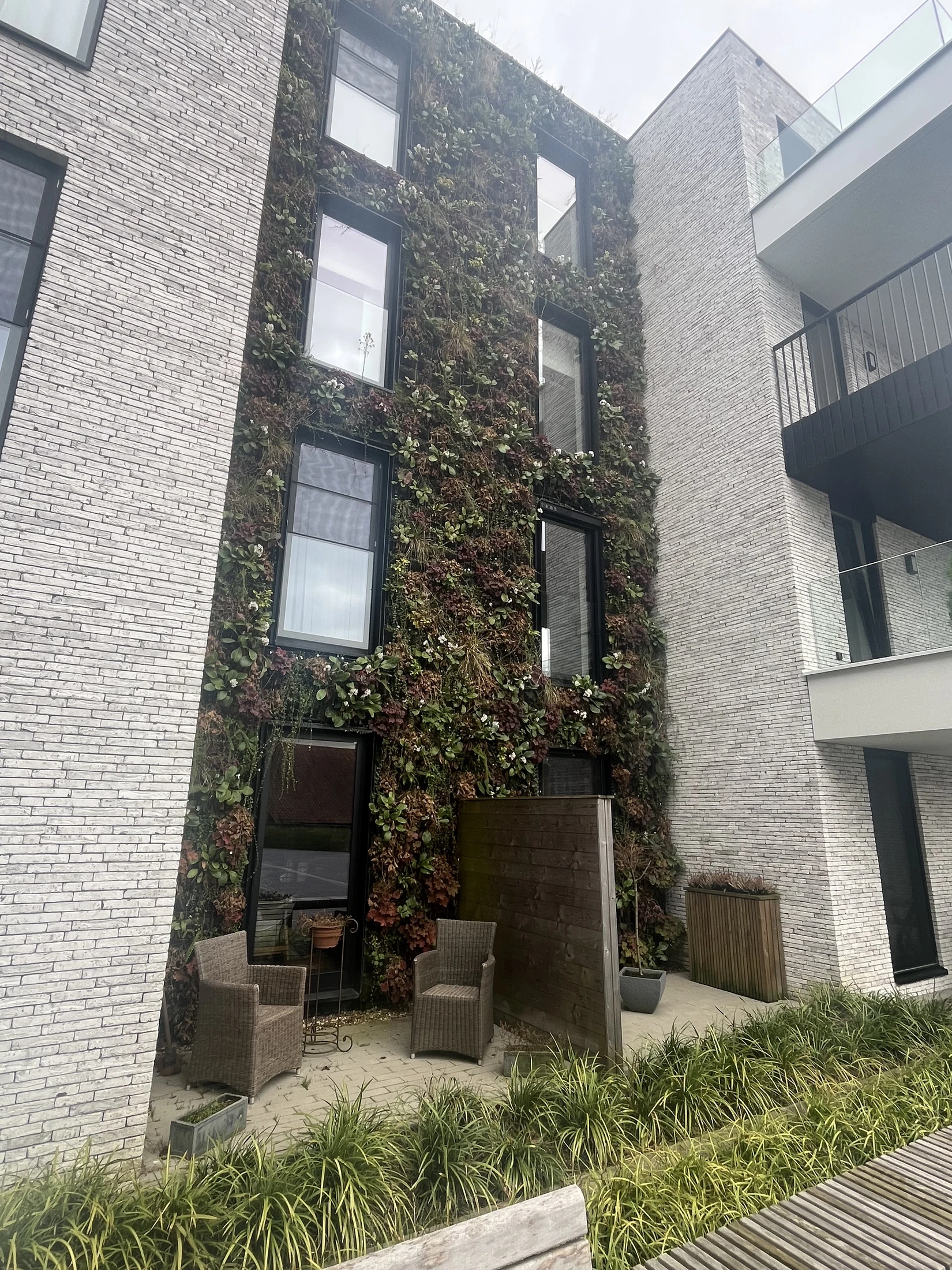 Mur végétal extérieur intégré à une façade en brique