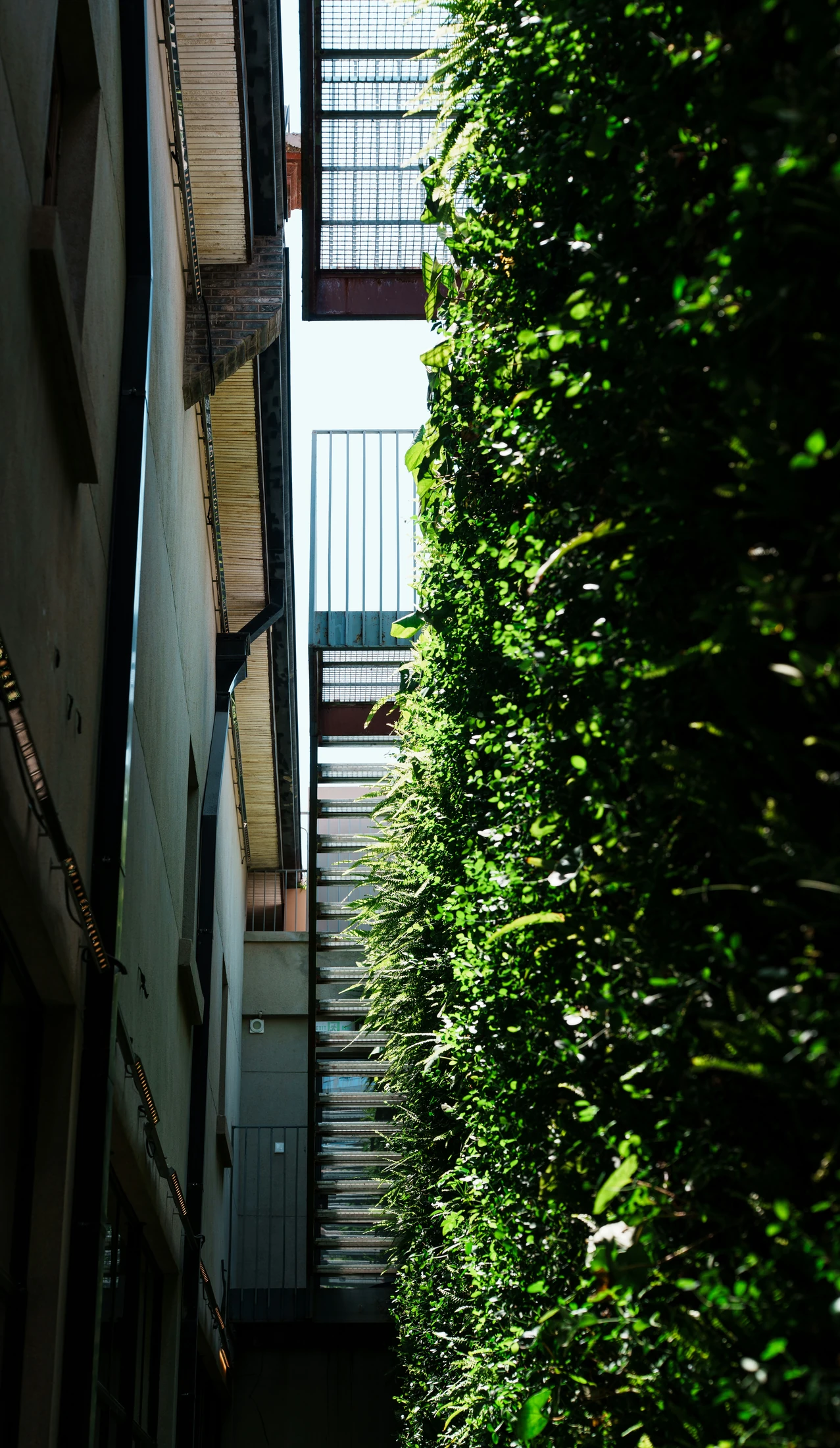 Mur végétal extérieur intégré à un passage urbain