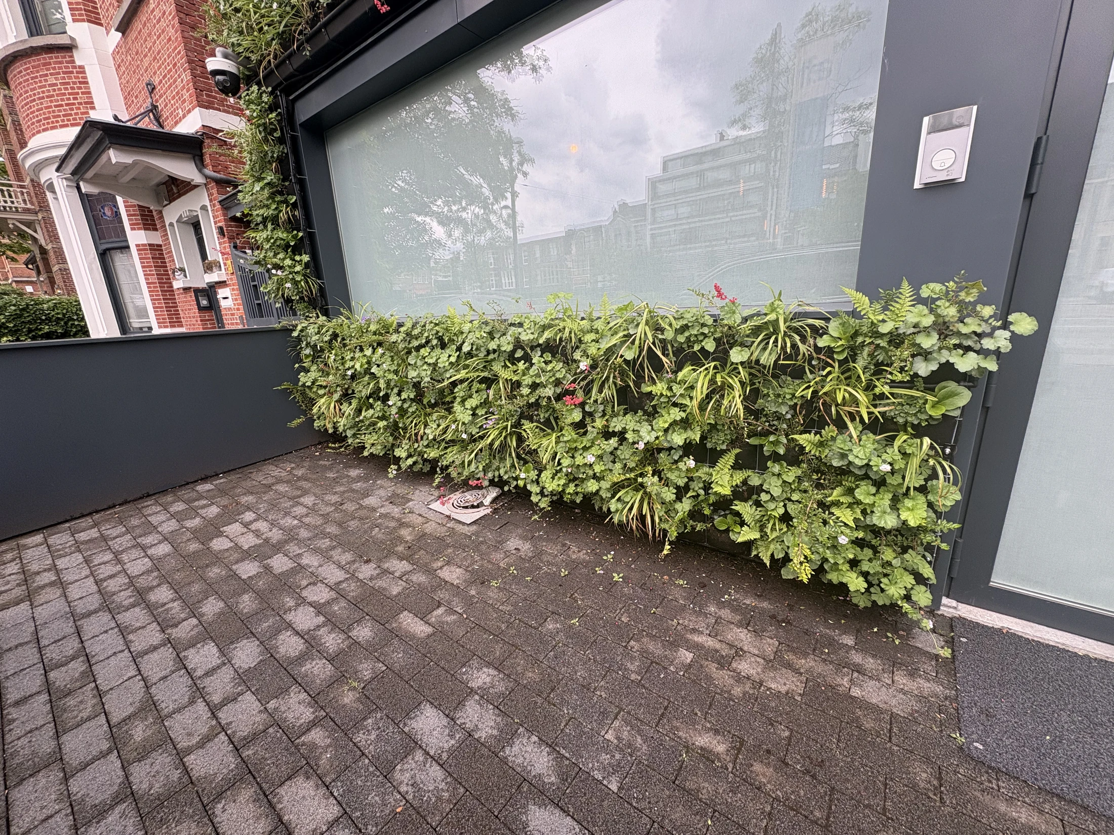 Mur végétal extérieur aménagé sous une fenêtre