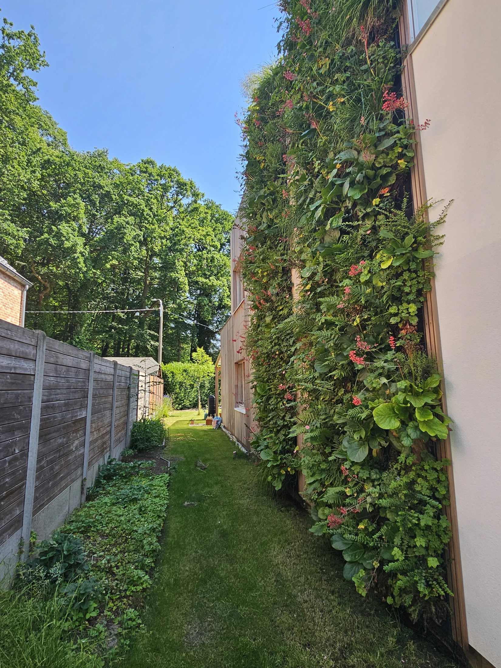 Total Value Wall de Westerlo sous forme de jardin vertical