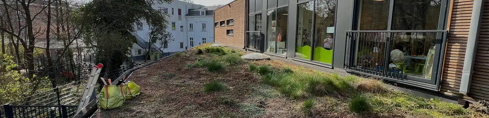 Onderhoud Van Groendaken