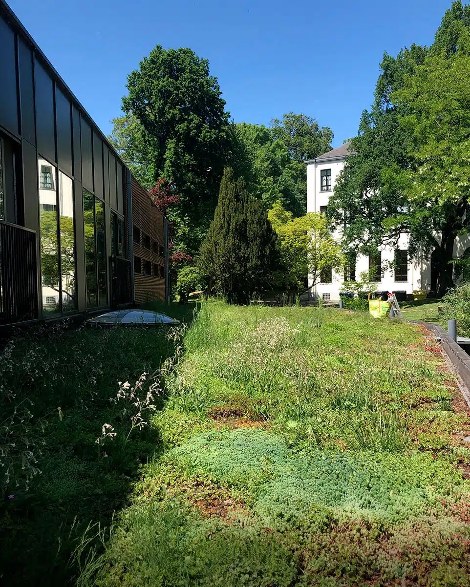 Prime pour les toiture verte à Bruxelles, en Flandre ou en Wallonie