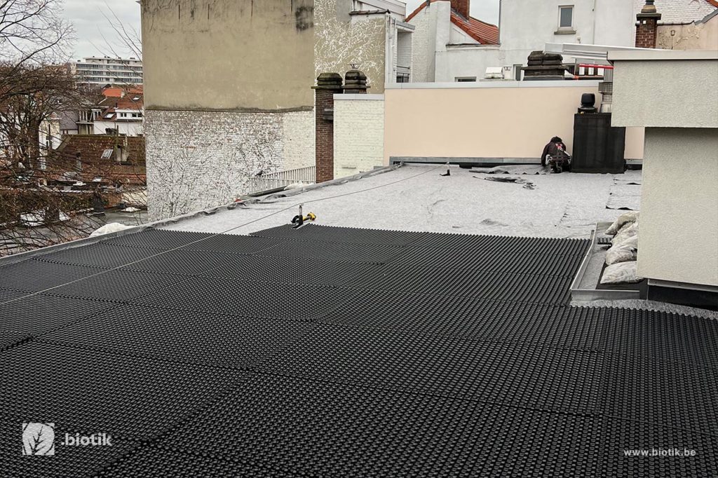 Toitures végétales et murs végétaux à Bruxelles