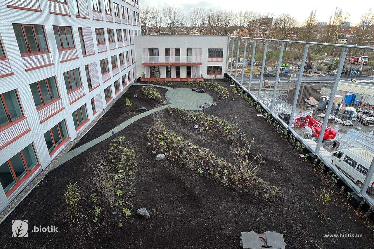 Daktuinen in Brussel: de kunst van het groen boven het dak