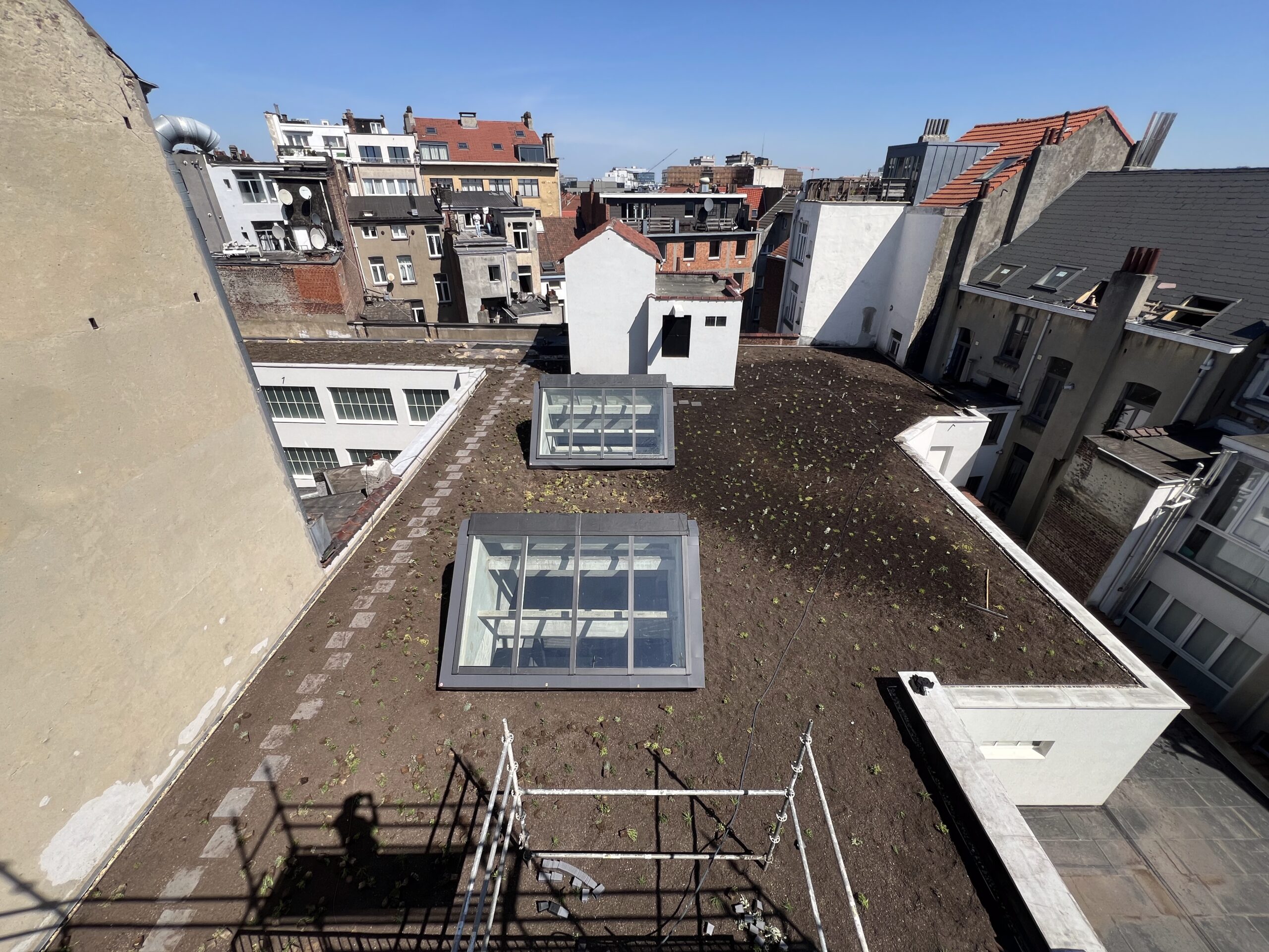 Rooftop garden/terrace area with skylights, looking over a dense row of brick and plaster buildings under a clear blue sky