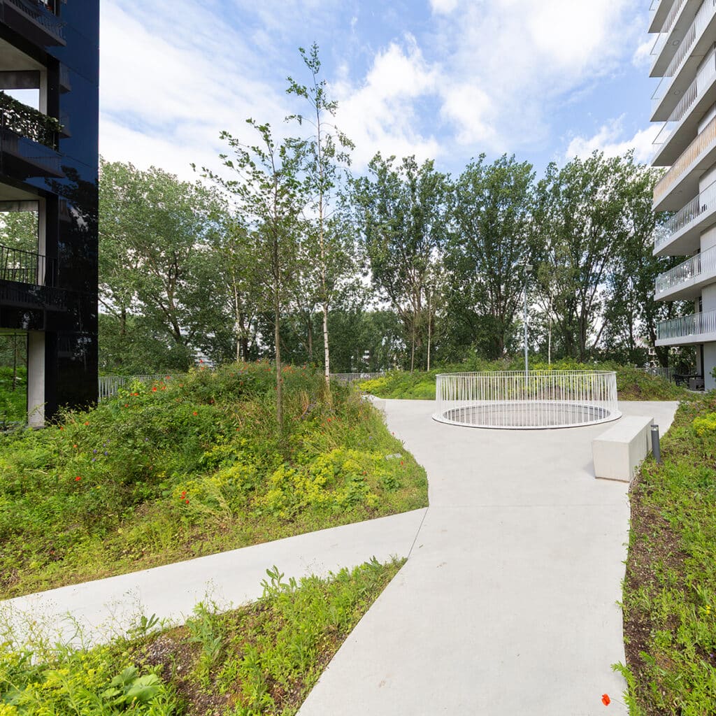 Modern urban courtyard with greenery, concrete paths, and a circular white railing feature in the center.