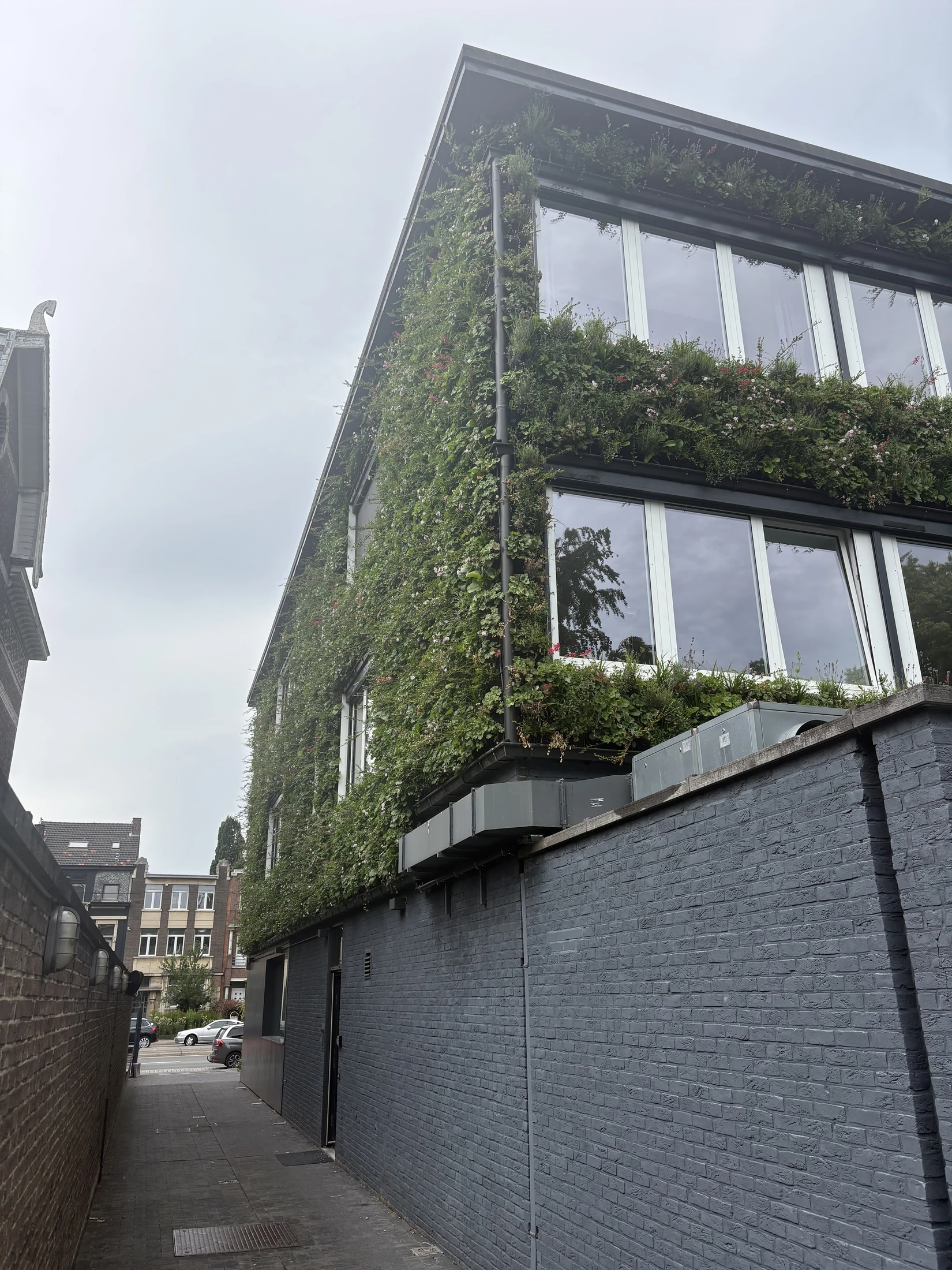 Façade végétalisée intégrée à l’angle d’un bâtiment