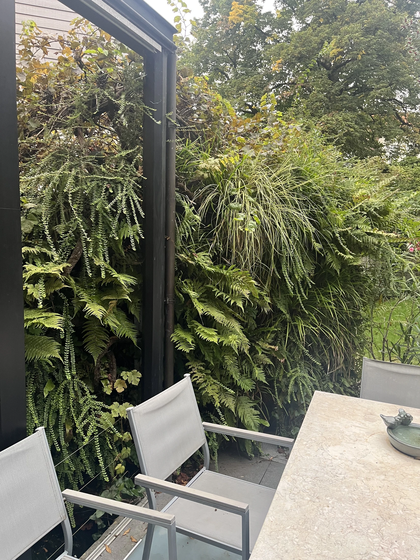 Mur végétal extérieur aménagé le long d’une terrasse